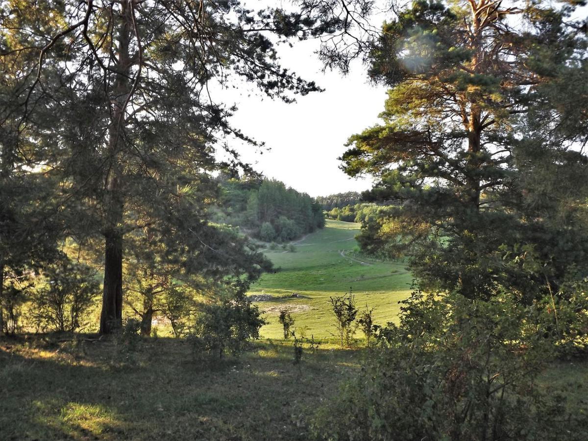 Agroturystyka Dolina23 Villa Piaski Екстериор снимка